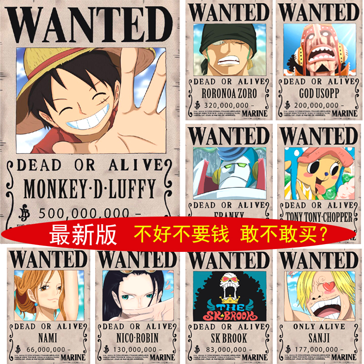 One piece wanted poster